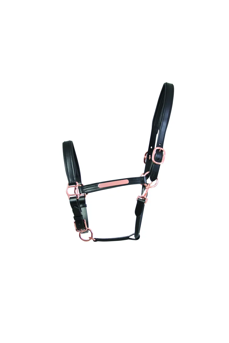 Hy Equestrian Leather Head Collar - Black/Rose Gold